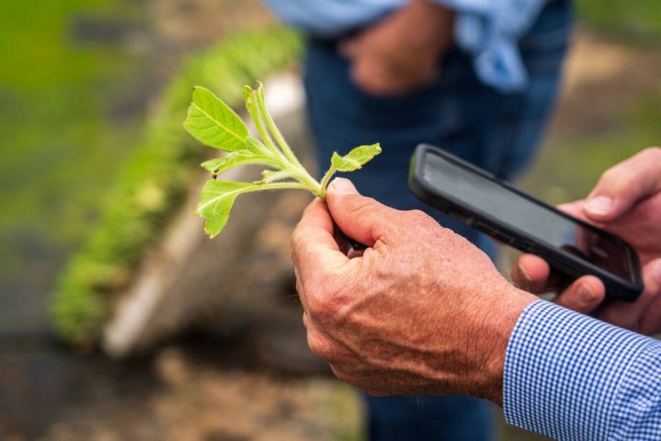 Apps agriculture 2026 : top outils pour freelances
